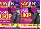 Партия независимости UKIP_120