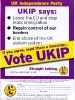 Партия независимости UKIP_37