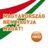 Венгерский гражданский союз - Фидез